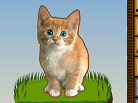 Play Cat Clicker