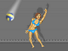 Play Ragdoll Volleyball